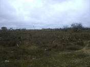 Satılır 24 sot torpaq Kürdəxanı