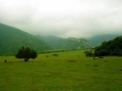 Satılır 3 sot torpaq Sumqayıt