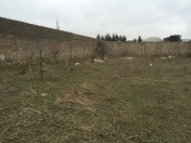 Satılır 12 sot torpaq Bilgəh