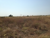 Satılır 102 sot torpaq Quba