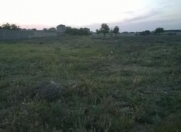 Satılır 10000 sot torpaq Göyçay