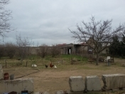 Satılır 10 sot torpaq Maştağa
