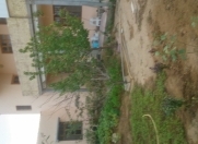 Satılır 6 otaqlı 235 m2 həyət evi Buzovna