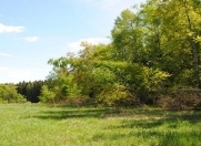 Satılır 150 sot torpaq Qusar