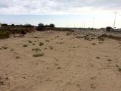 Satılır 12 sot torpaq Kürdəxanı