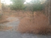 Satılır 4.1 sot torpaq Biləcəri