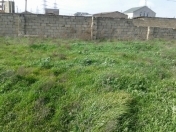 Satılır 6 sot torpaq Xaşaxuna