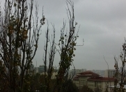 Satılır 1 otaqlı 31 m2 köhnə tikili Prezident parkı