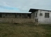 Satılır 12 sot torpaq Albalı