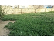 Satılır 3.5 sot torpaq Binə