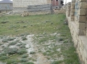 Satılır 17 sot torpaq Badamdar