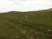 Satılır 20 sot torpaq Mehdiabad