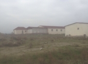 Satılır 100 sot torpaq Məhəmmədli