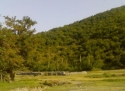 Satılır 60000 sot torpaq Qax