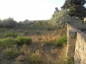 Satılır 20 sot torpaq Botanika bağı