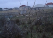 Satılır 15 sot torpaq Saray