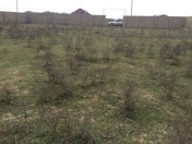 Satılır 12 sot torpaq Qala