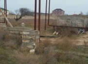 Satılır 12 sot torpaq Kürdəxanı