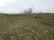 Satılır 25 sot torpaq Kürdəxanı