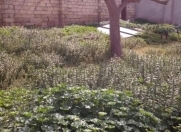 Satılır 4 sot torpaq Qaraçuxur