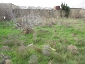 Satılır 10 sot torpaq Zərifə Əliyeva adına park