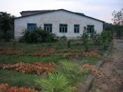 Satılır 200 sot torpaq Lənkəran