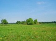 Satılır 150 sot torpaq Qusar