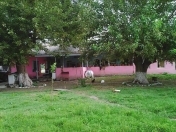 Satılır 3 otaqlı 2000 m2 obyekt Qax