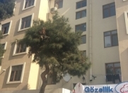 İcarəyə verilir 3 otaqlı 63 m2 köhnə tikili Nərimanov r.