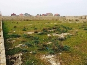 Satılır 10 sot torpaq Türkan