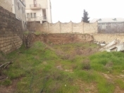 Satılır 7 sot torpaq Badamdar