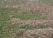 Satılır 48 sot torpaq Mehdiabad