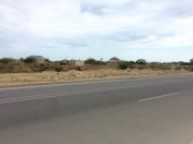 Satılır 12 sot torpaq Kürdəxanı