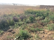 Satılır 100 sot torpaq Fatmayı