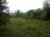 Satılır 8 sot torpaq Quba