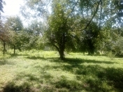 Satılır 12 sot torpaq İsmayıllı