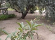 Satılır 4 sot torpaq Binəqədi