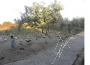 Satılır 20 sot torpaq Botanika bağı