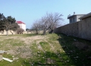 Satılır 25 sot torpaq Bilgəh