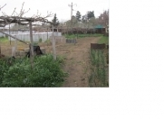 Satılır 5 sot torpaq Binə