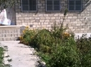 Satılır 4 otaqlı 80 m2 həyət evi Şamaxı