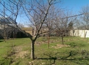 Satılır 5 sot torpaq Saray