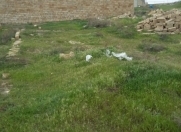 Satılır 2 sot torpaq Binəqədi