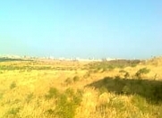Satılır 12 sot torpaq Xocəsən