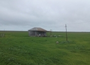 Satılır 150 sot torpaq Neftçala