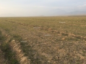 Satılır 3 sot torpaq Binəqədi