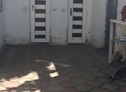 Satılır 2 otaqlı 100 m2 bağ evi 20-ci sahə