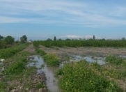 Satılır 6 otaqlı 200 m2 bağ evi Xaçmaz