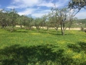 Satılır 22 sot torpaq İnşaatçılar m.
