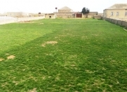 Satılır 32 sot torpaq Bilgəh